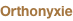 shapeimage_2_link_0